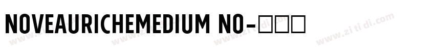 NoveauRicheMedium No字体转换